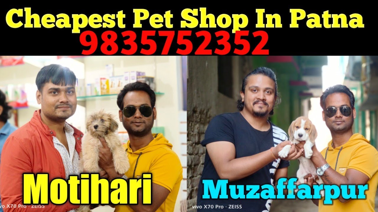 Cheapest Pet Shop In Motihari Muzaffarpur Pet Shop Dog Market Patna