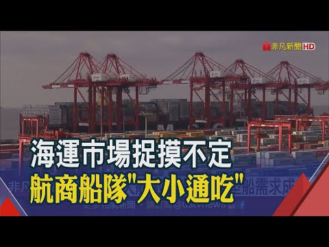 BDI指數連3跌 不到3個月重挫近6成...海運市場難測 航商拓船隊大小通吃應戰｜非凡財經新聞｜20220816