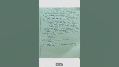 Polypetalae ,Gamopetalae