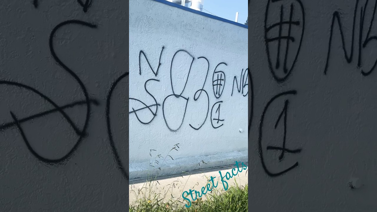 Cruising through the far west 83 Gangsta Crips territory~South L.A Hoods