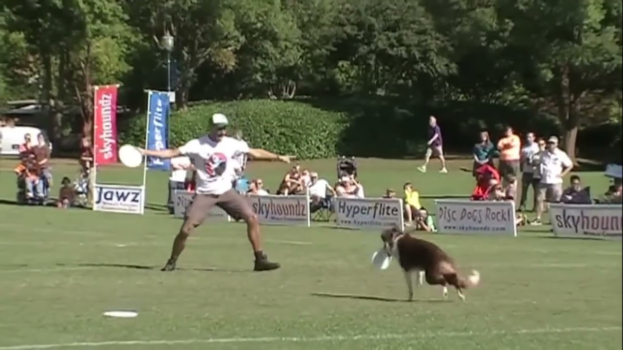 Flower & Matteo Gaddoz Gaddoni World Champions Skyhoundz 2013 Open - Disc Dog Frisbee