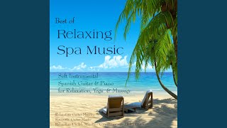 Soft Flamenco Love Song screenshot 4