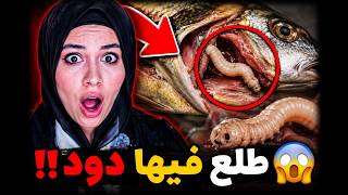 كارثة الاسماك في العالم!! احذرو اكل هذا النوع!🔥👽