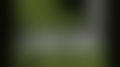 Internet Traffic Formula - Using Internet Traffic Formula To Rank On Page 1