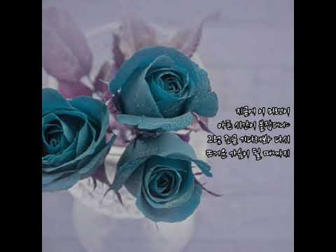 [이은미] 너는 아름답다