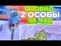 СЛОВИЛ ДВЕ ОСОБЫ В СФ ЗА ЧАС - СЛОВИЛ ЗАКУСОЧНУЮ ЗА 70КК - ЛОВЛЯ ДОМОВ НА ARIZONA RP (SAMP)