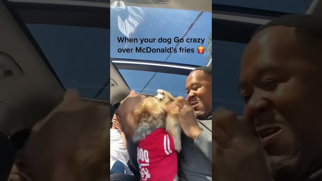 He Acts Like He’s Never Eaten Before 