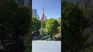 Melihat bagusnya Tokyo Tower dari kejauhan #tukangcukurkelaskakap