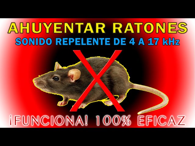 🚫🐭 SOUND TO REVERSE MICE class=