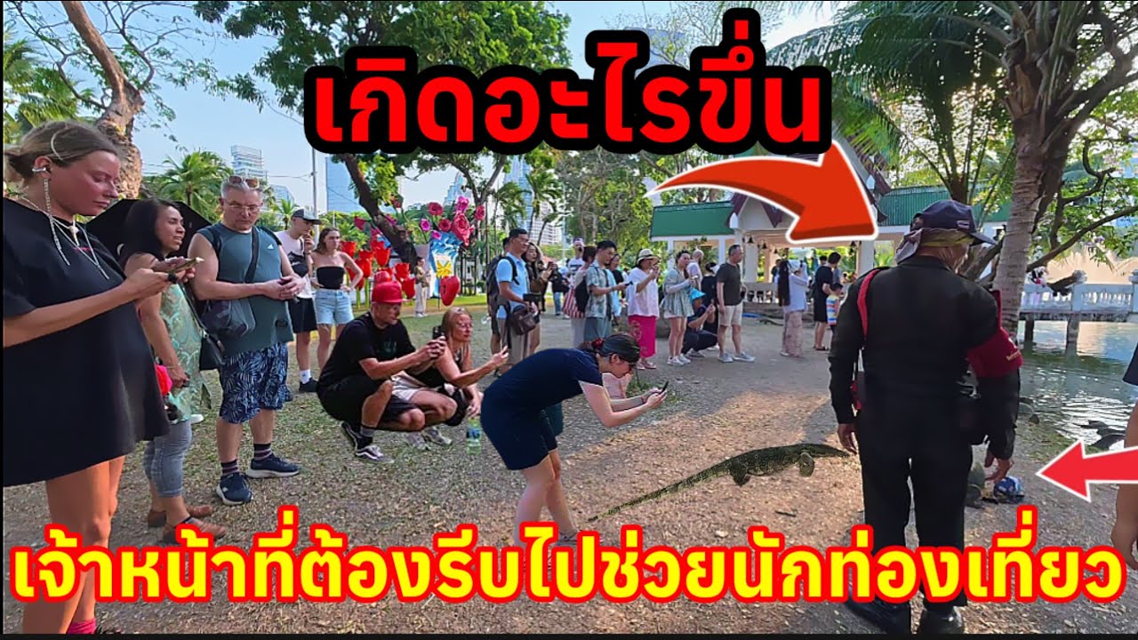 เจ้าถิ่นสวนลุมทำอะไรเกิดอะไรขึ้นเจ้าหน้าที่ต้องรีบไปช่วยนักท่องเที่ยว