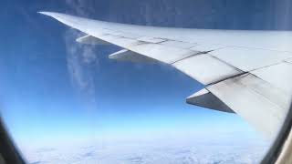 IMG 7054