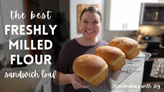 FRESHLY MILLED flour SANDWICH loaf • quick & easy • yeast