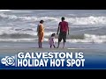 December beach day? Galveston gifted with warmth and visitors