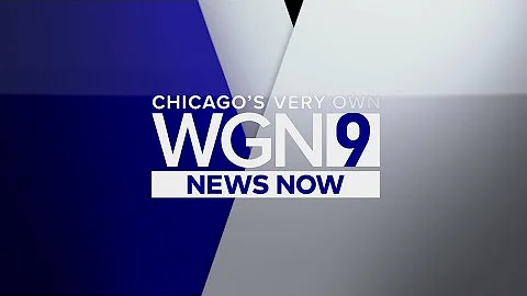 Garry McCarthy Named Interim Police Chief of Willo...