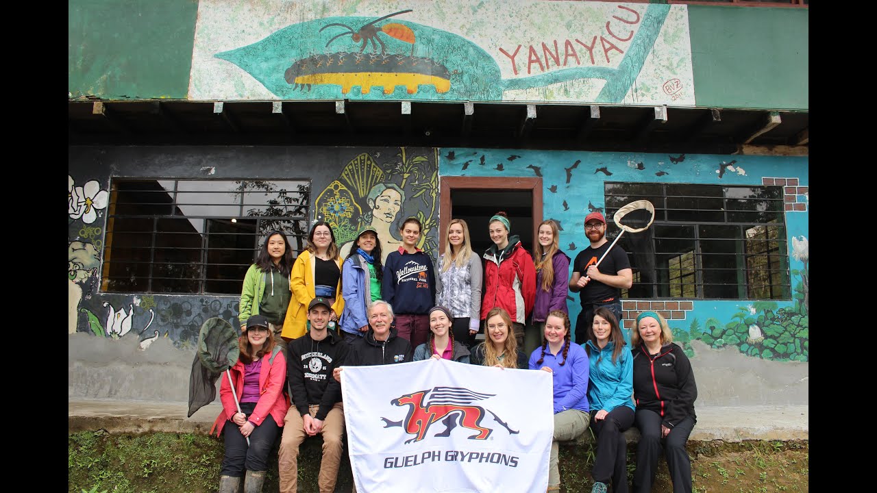 The Yanayacu Expedition • Field Entomology in Ecuador (2019)