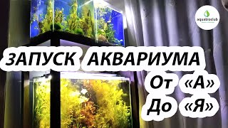 Запуск аквариума от "А" до "Я"