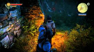 The Witcher 2 Assassins of Kings-Chapter 1-Indecent Proposal