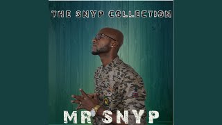 Video thumbnail of "Mr. Snyp - Come Again"