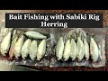 Bait fishing with Sabiki Rigs, Herring.