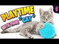 😸Playtime with your Cat - The Correct Way to play | Furry Feline Facts