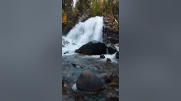 القارئ محمد اللحيدان ما تيسر من سوره (الأنعام)