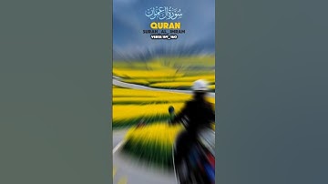آرامش فقط در خداست 🤲 سوره آل عمران #سوره آل عمران #قرآن شورت #شلوار_اسلامی# شورت #کوتاه