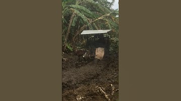 #review công nông tại lực vào chở chuối