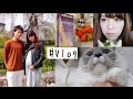 【とある1日Vlog#24】2日間‼️朝起きて〜夜のスキンケアまで🌜京都、猫、桜 etc...