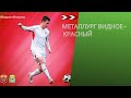 Металлург-Видное vs Красный