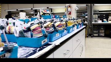 Thermoformed Night Guard Removables (Lab Overview) |4K|