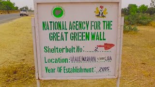 The Great Green Wall Nigeria Documentary