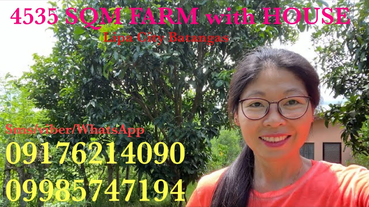 Vlog526: ПРОДАЕТСЯ В ГОРОДЕ ЛИПА, БАТАНГАС | ФЕРМА 4535 КВ.М. С ДОМОМ, ВЫХОДОМ К РЕКЕ И ВИДОМ НА ...