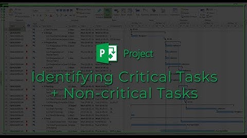 Microsoft Project Professional - Identifying Critical Tasks & Non-critical Tasks