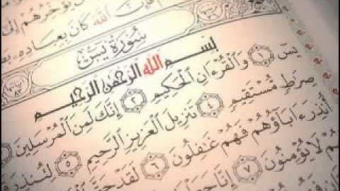 محمد البراك   سورة يس كامله   YouTube