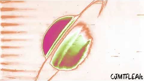 Vadimon Video in Cube Modern Deco Flanged Saw