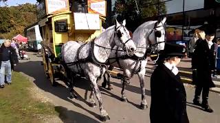 London Bus Museum Brooklands Open Day October 2016