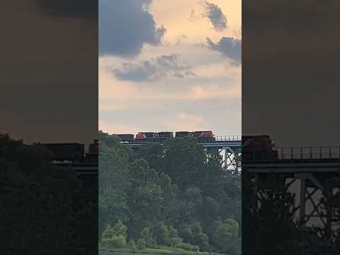 CN 8876 leads