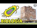 GUÍA BIOLOGÍA UNAM (Preguntas) 1. LA CÉLULA [PT. 2]