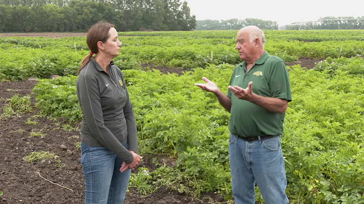 Gary Secor & Julie Pasche: Below Ground Potato Dis...