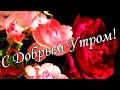 С ДОБРЫМ УТРОМ 2 Января !🌼Желаю Самого Доброго Солнечного Утра!🌼  Шикарная Музыкальная открытка 🌼