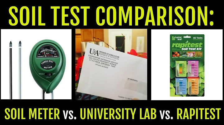 Soil Test Comparison: Home or Professional? - DayDayNews