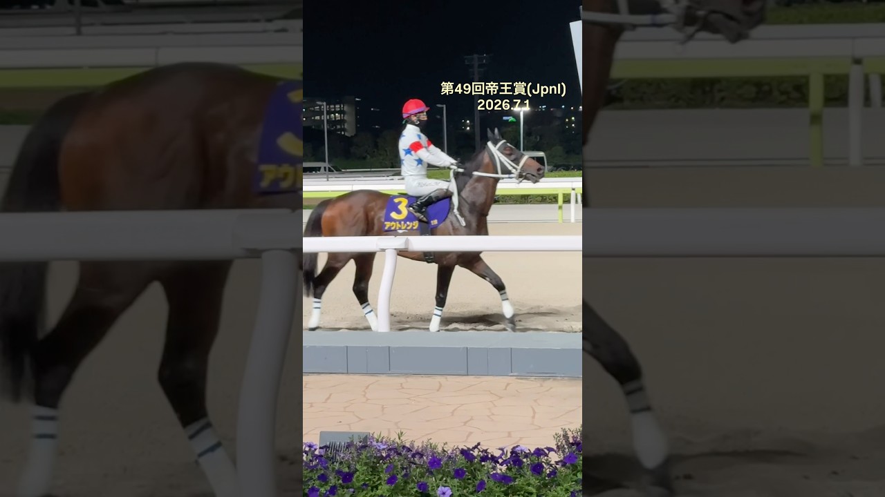 第49回帝王賞 (JpnI) 出走各馬 本馬場入場 - YouTube