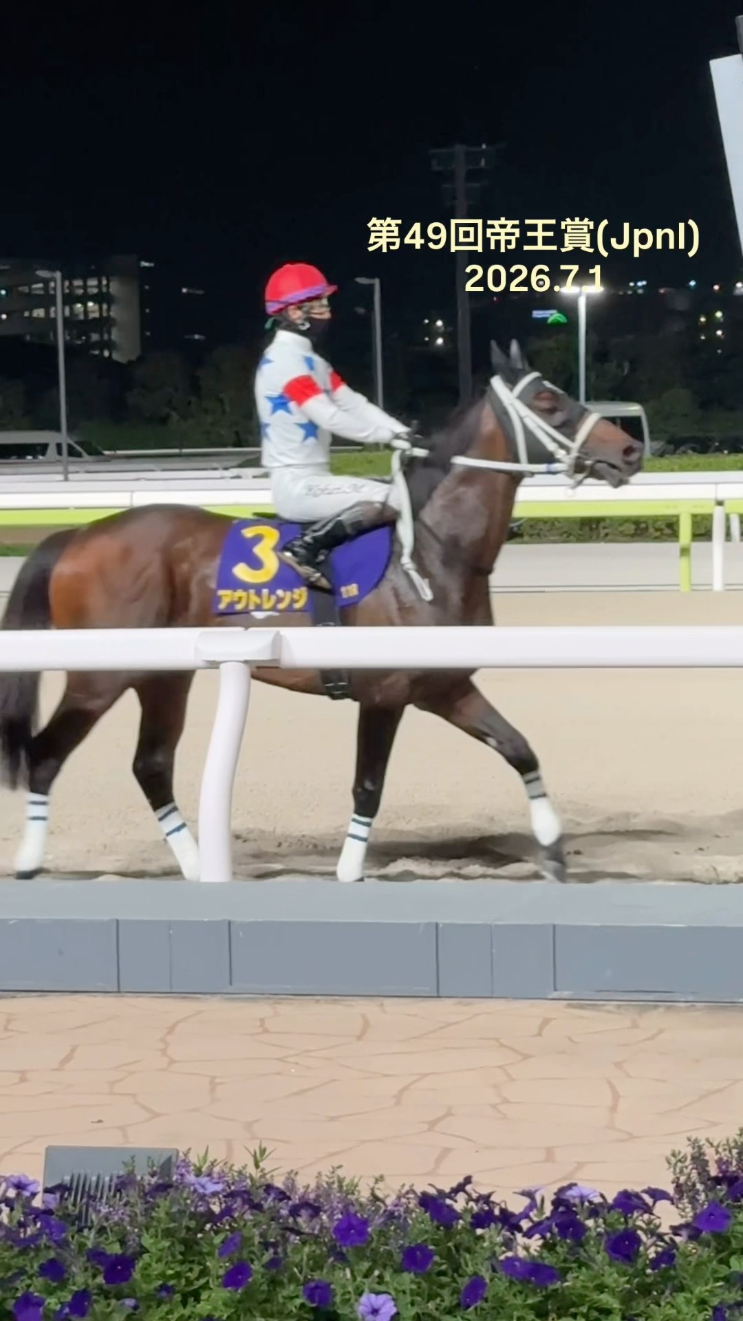 第49回帝王賞 (JpnI) 出走各馬 本馬場入場 - YouTube