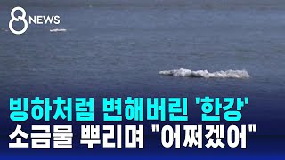 빙하처럼 변해버린 '한강'…소금물 뿌리며 &quot;어쩌겠어&quot; / SBS 8뉴스