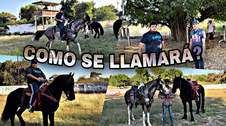 ESTE ES EL NUEVO RANCHO DE LOS TOYS |ELKC|