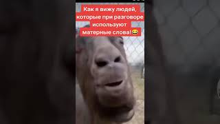 Культура общения!