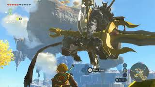 Arrow Capsule Lynel