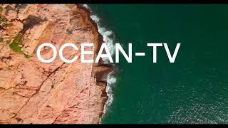 Вы смотрите СМИ OCEAN-TV