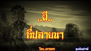 ผี..ที่ปลายนา : ลุงอ้นเล่าผี