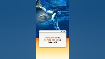 ‘Nàng tiên cá’ bị cá mập cắn trong thủy cung